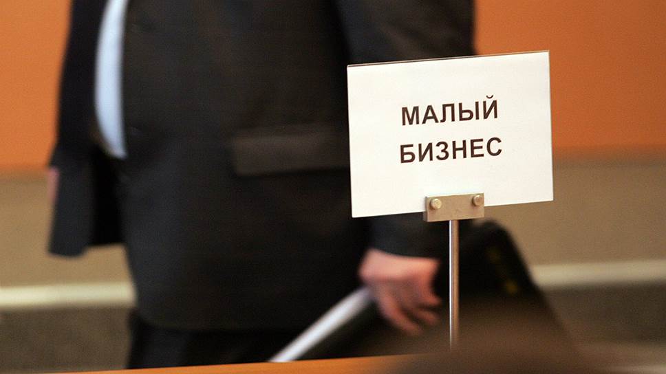 Правительство РФ выделило более 11 млрд руб. на поддержку малого бизнеса
