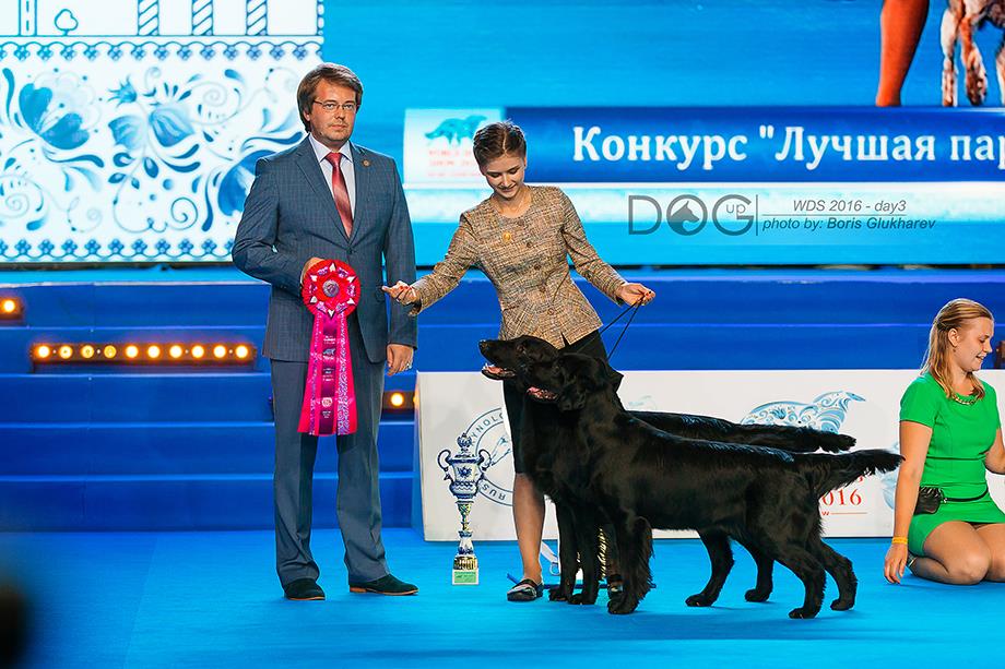 World Dog Show-2016