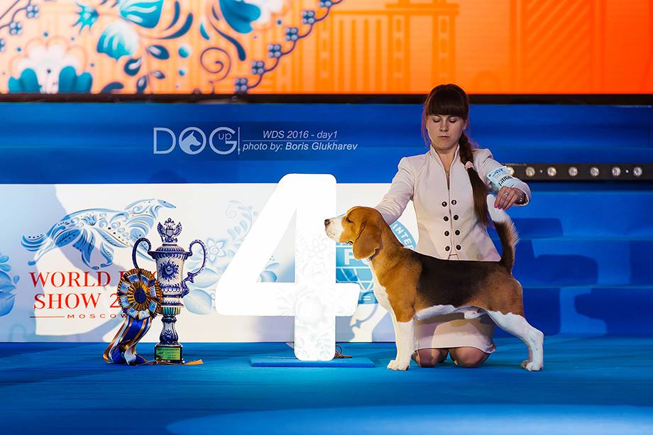 World Dog Show-2016